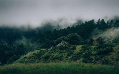 绝地求生直播